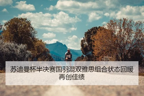 su-di-man-bei-ban-jue-sai-guo-yu-hun-shuang-ya-si-zu-he-zhuang-tai-hui-nuan-zai-chuang-jia-ji-2-256.jpg
